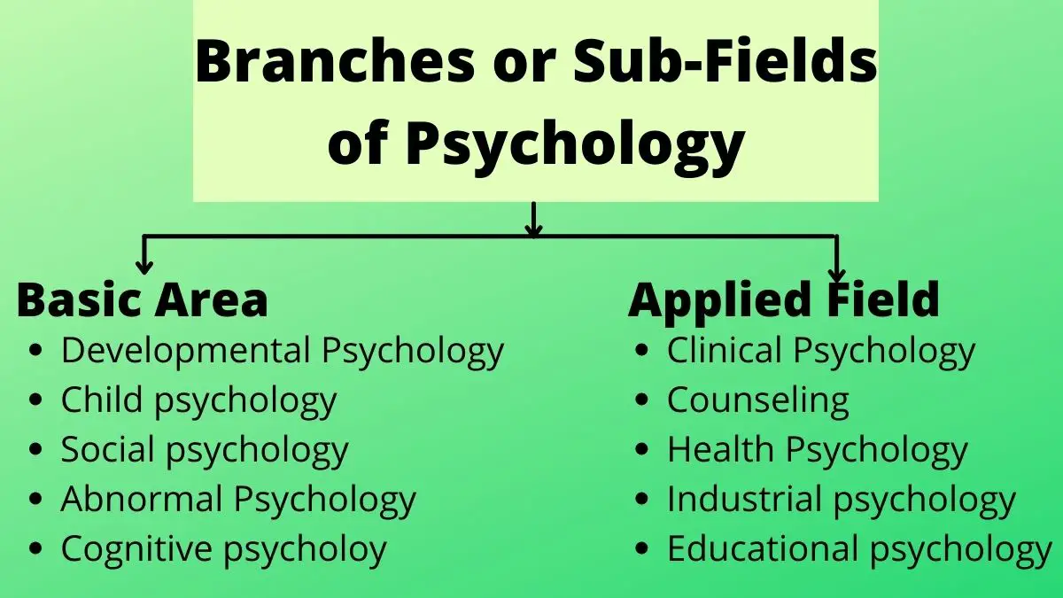 Las 10 principales ramas o subcampos de la psicología (explicadas)
