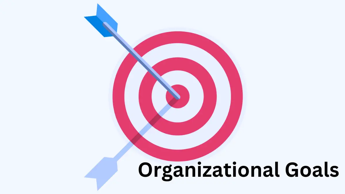 ¿Qué son los objetivos organizacionales? Definición, tipos, finalidad, principios y ejemplos