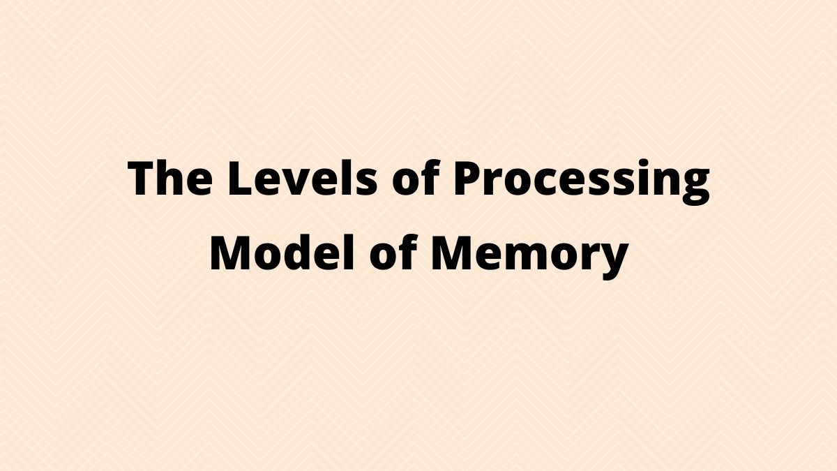 Una guía para el “modelo de niveles de procesamiento de la memoria”