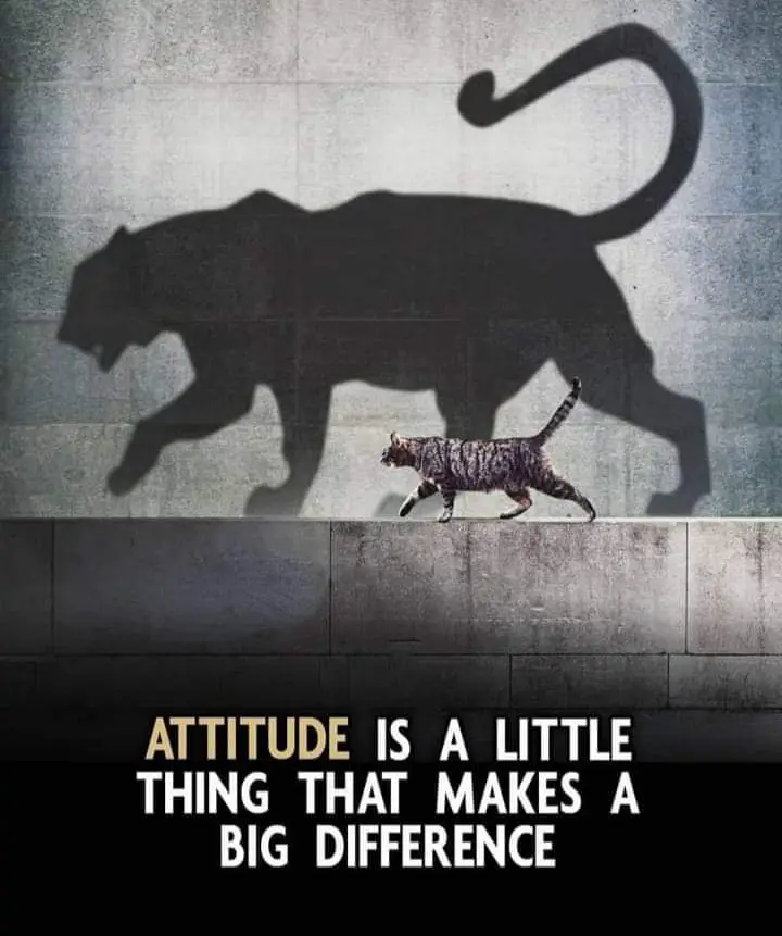 ¿Qué es la actitud? Significado, componentes, tipos y su formación.