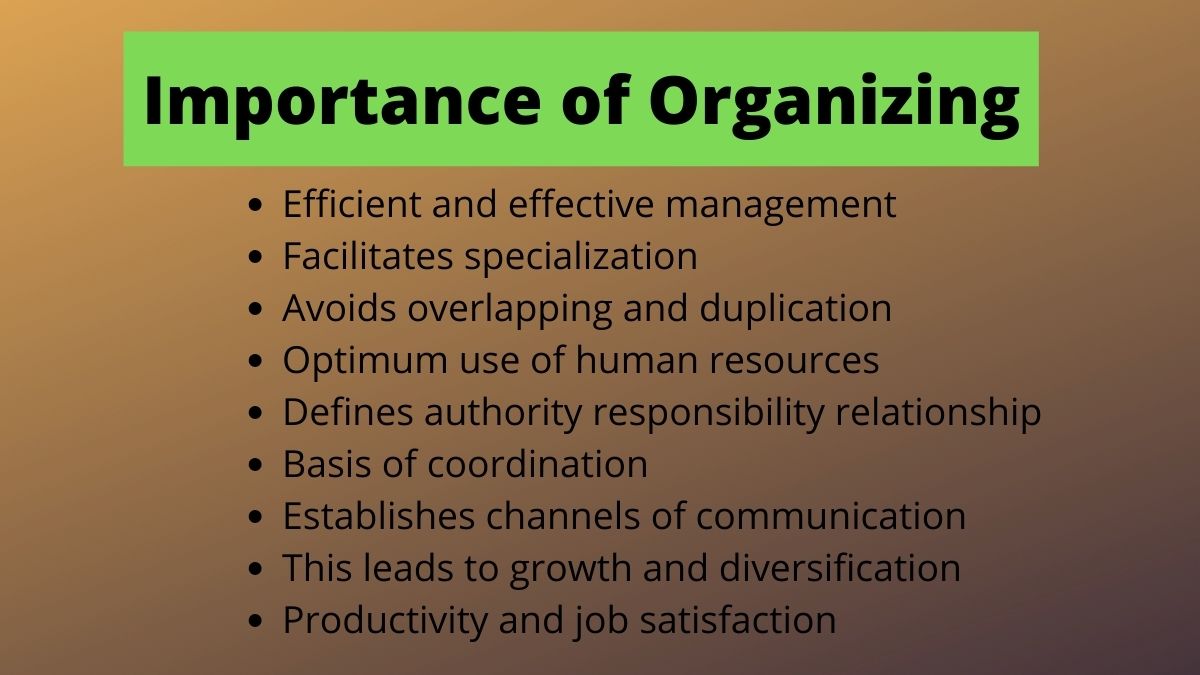 9 Importancia de la función organizativa de la gestión