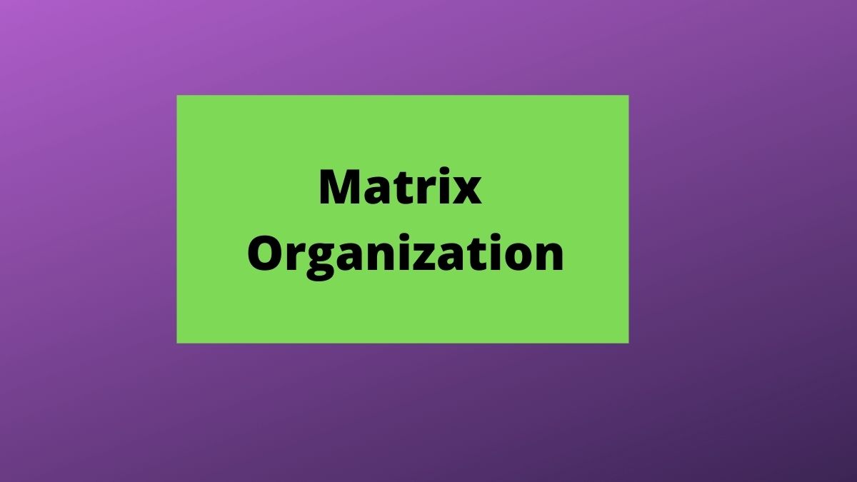 ¿Qué es la estructura organizativa matricial? Definición y ventajas y desventajas