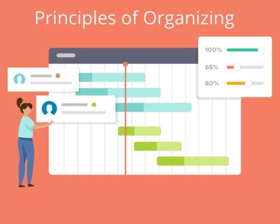 14 +) Principios de organización en la gestión [Explained]