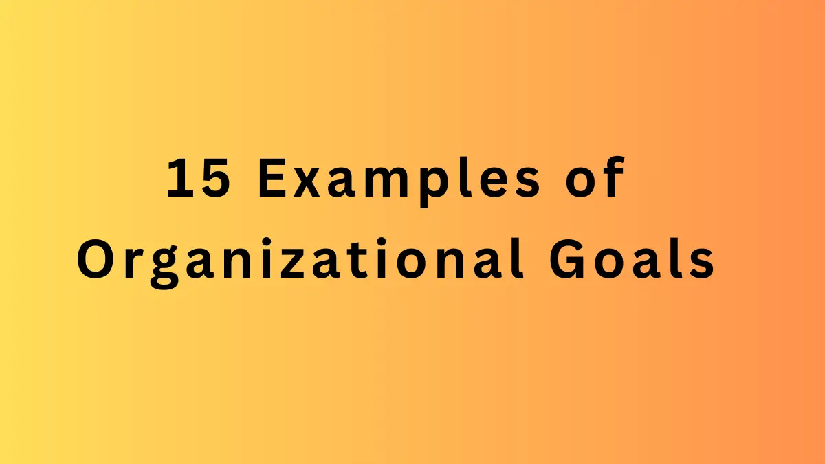 15 ejemplos de objetivos organizacionales [Explained]