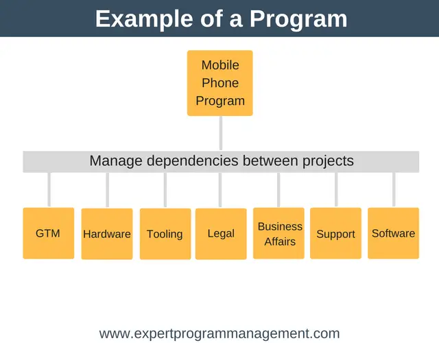 La diferencia entre proyectos y programas