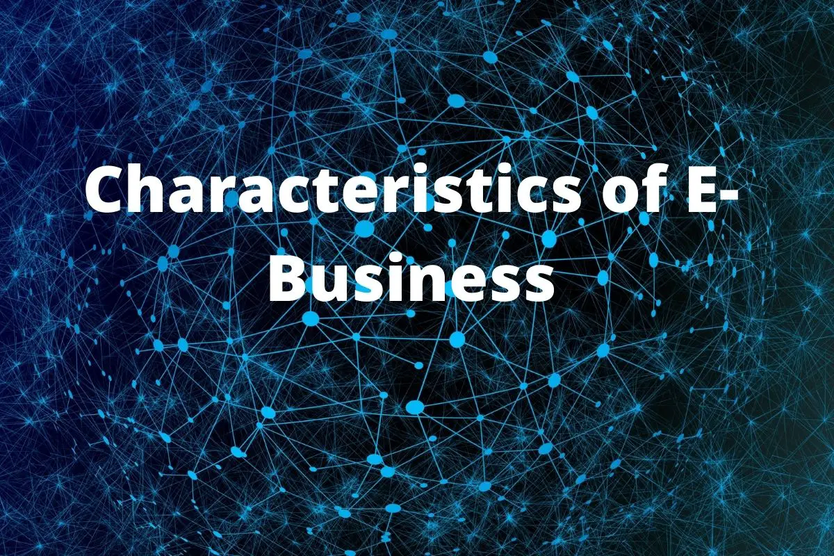 13 características/características del comercio electrónico (explicadas)