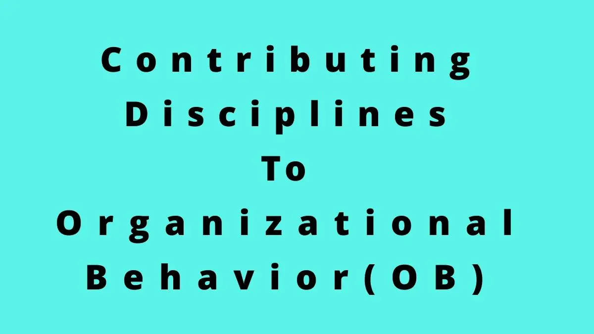 7 disciplinas que contribuyen al campo del comportamiento organizacional (OB)