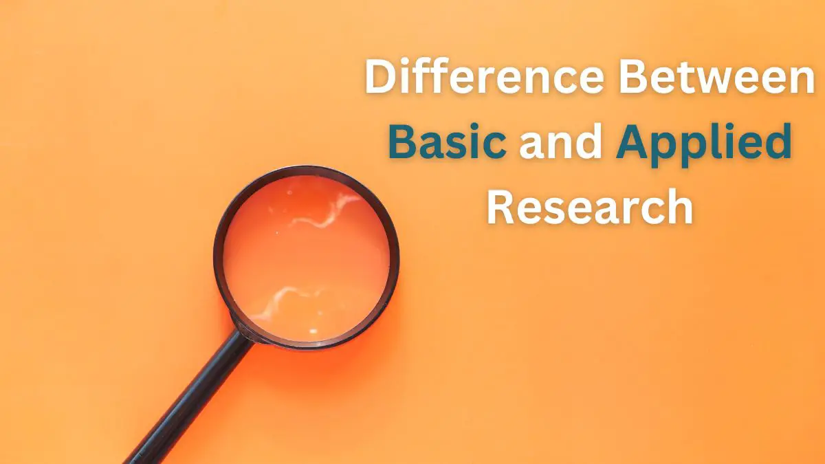 Investigación básica vs. Investigación aplicada: 8 diferencias clave [Explained]