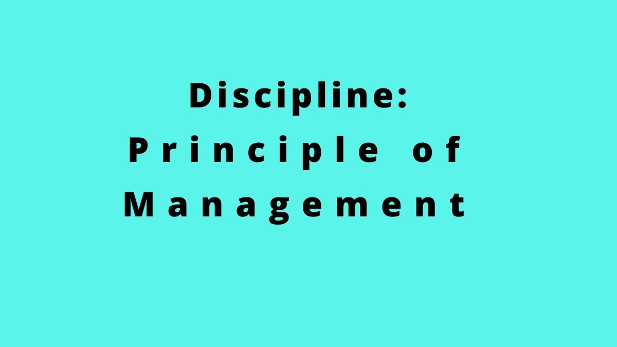 ¿Qué es el principio de disciplina de la gestión? [Definition + Pros/Cons]
