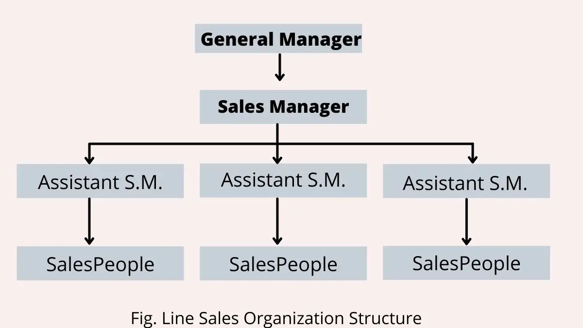 ¿Qué es la organización de ventas en línea? Definición, ventajas y desventajas