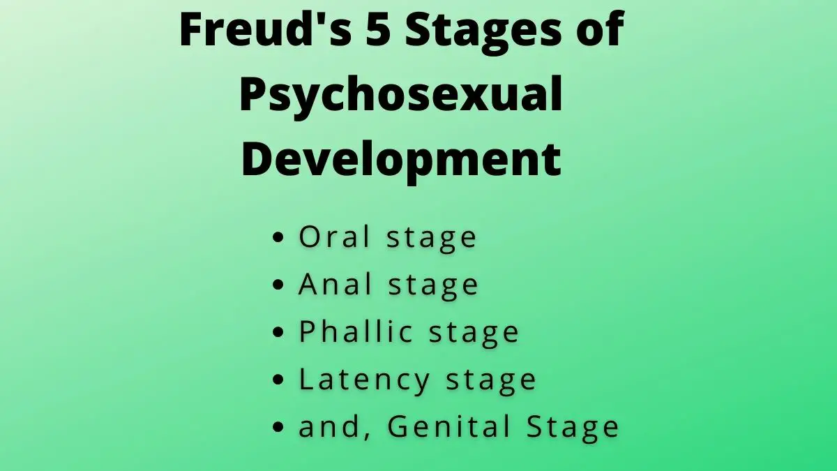 Las 5 etapas del desarrollo psicosexual de Freud: definición y etapas [Explained]