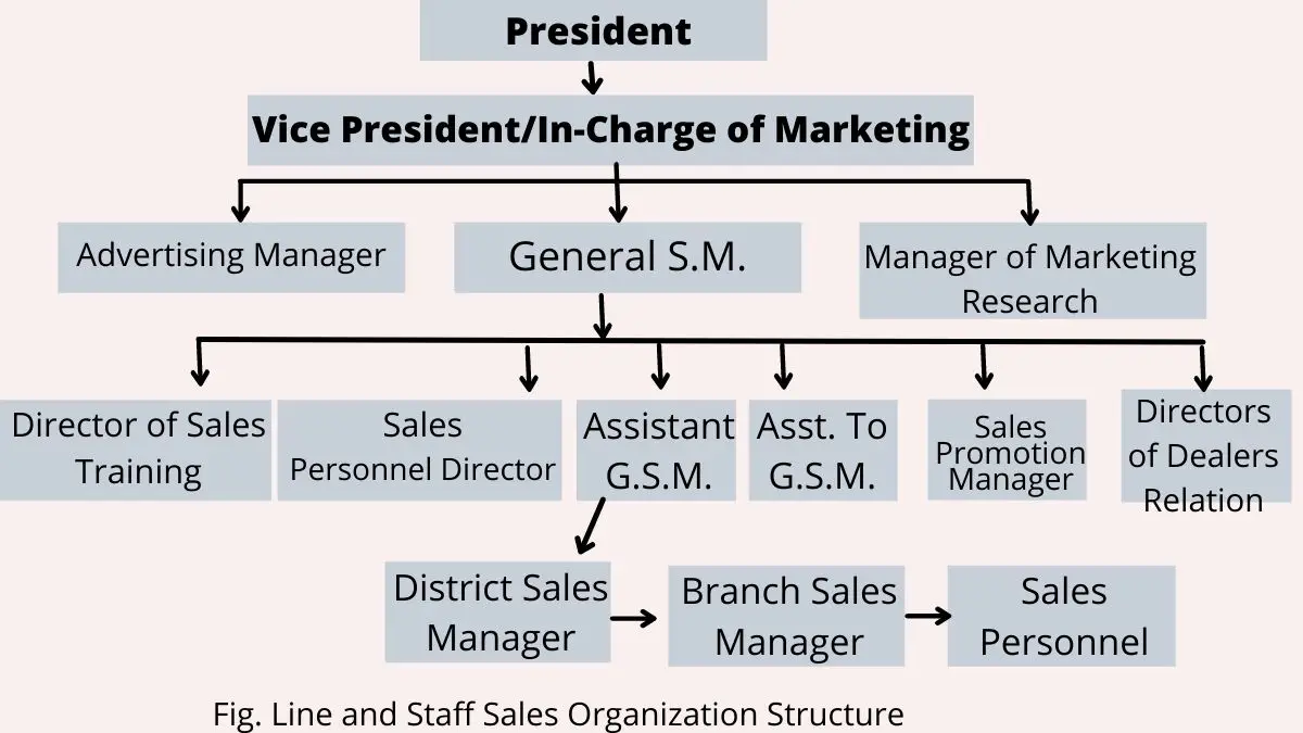 Organización de ventas de línea y personal: definición, ventajas y desventajas
