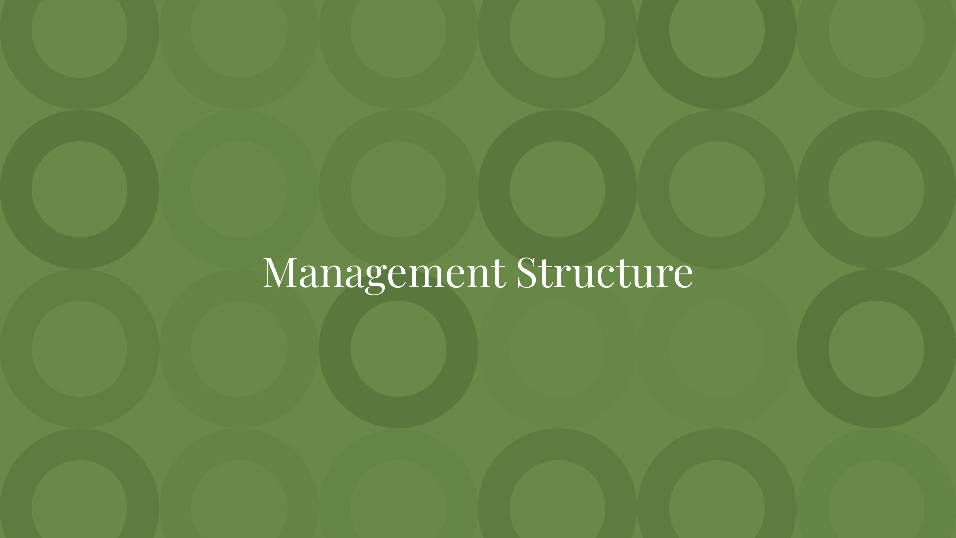 Estructura de gestion