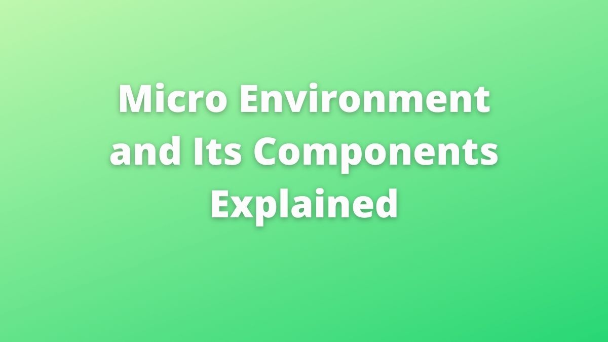 Microentorno: definición y sus componentes (explicado)