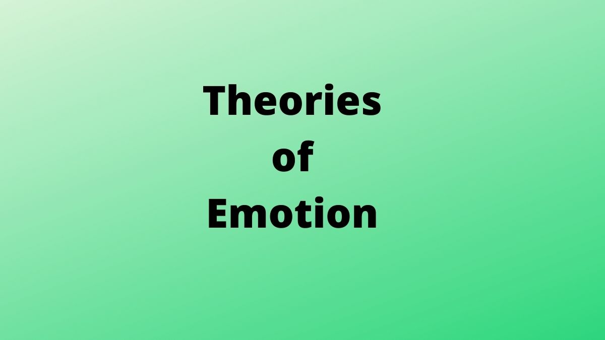 Una guía sencilla de las tres principales teorías de la emoción