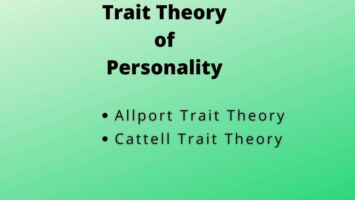 Teoría de los rasgos de la personalidad (teoría de Allport y Cattell)
