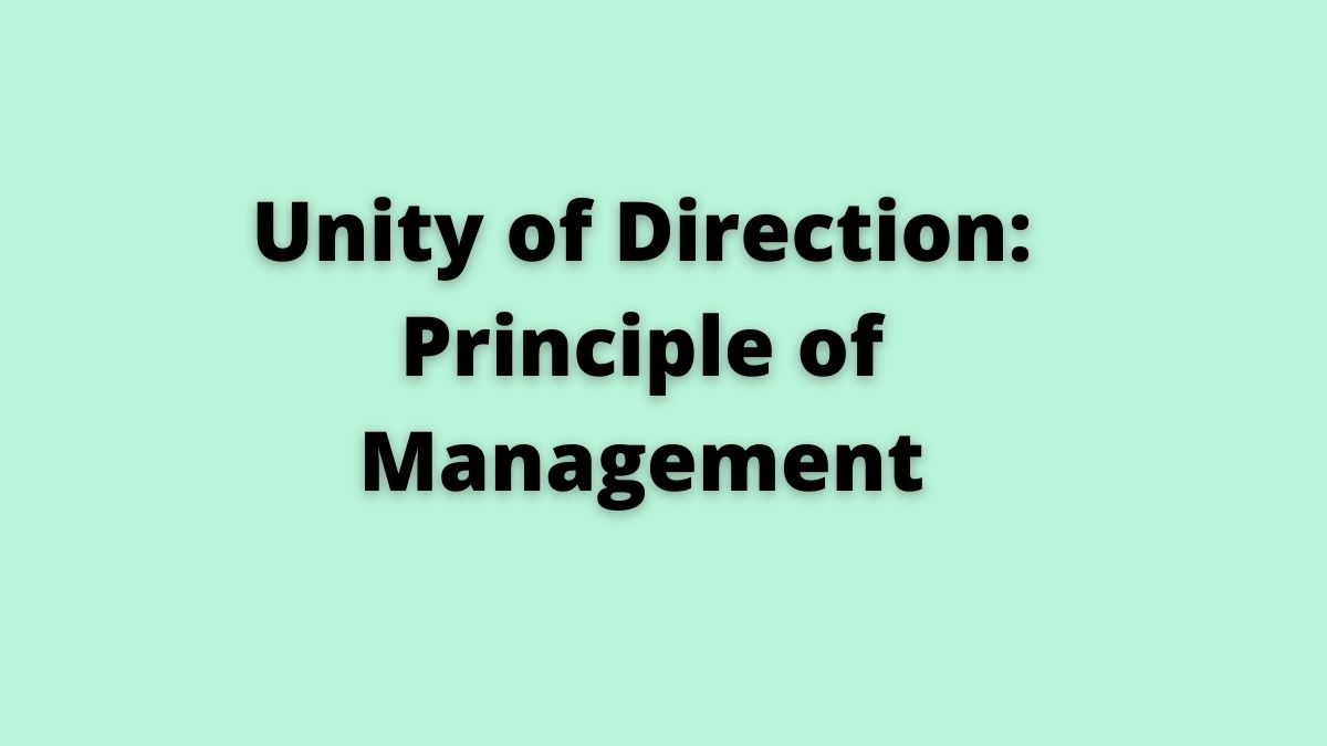 Una guía para el principio de unidad de dirección