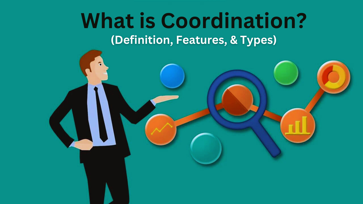¿Qué es la coordinación? Definición, características, objetivo, tipos e importancia