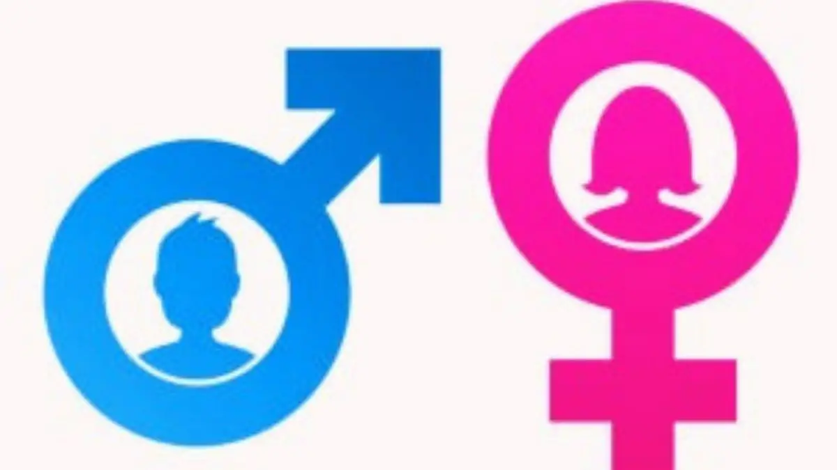 ¿Qué es el género? Definición, Estratificación de Género, vs. Sexo