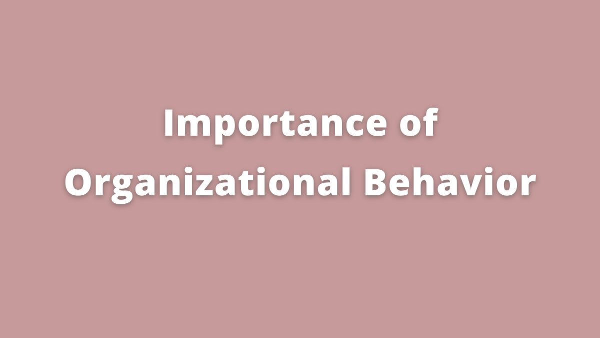 8 Gran importancia del comportamiento organizacional
