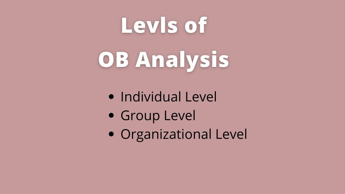 3 niveles de análisis del comportamiento organizacional