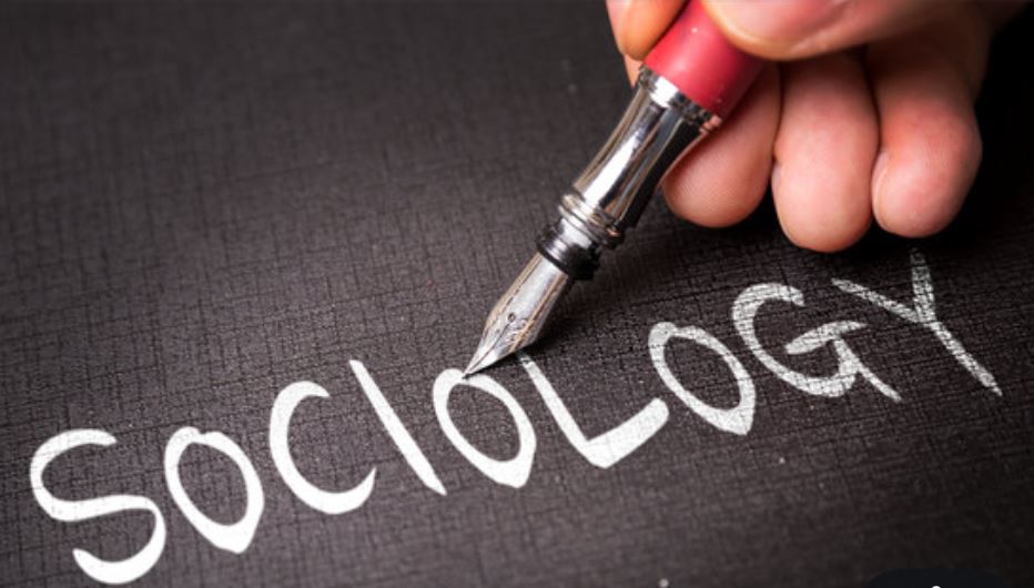 ¿Qué es la sociología? Definición, historia, características, escuelas y carrera