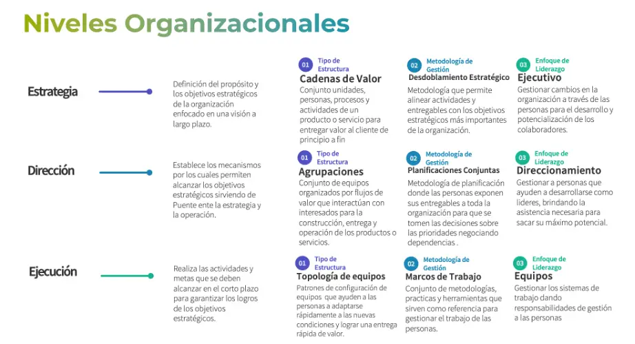 Componentes organizativos para el liderazgo de productos