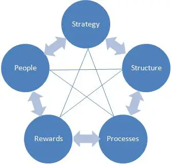 Diseño Organizacional – Modelo Estrella