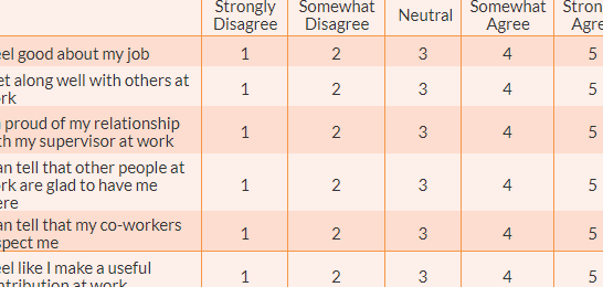 Medición de constructos – Investigación en Ciencias Sociales: Principios...