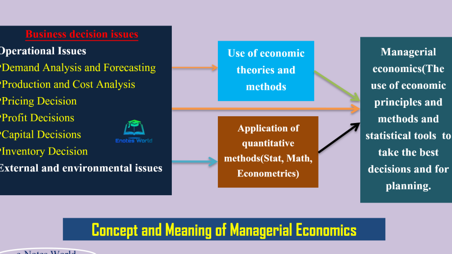 Concepto y características de la economía empresarial: características de la EM.