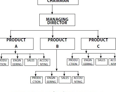 Departamento de producto/mercado: estructura organizativa y...